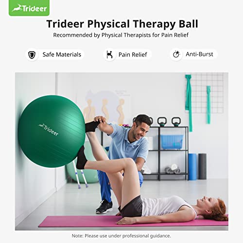 Physio deals gym ball