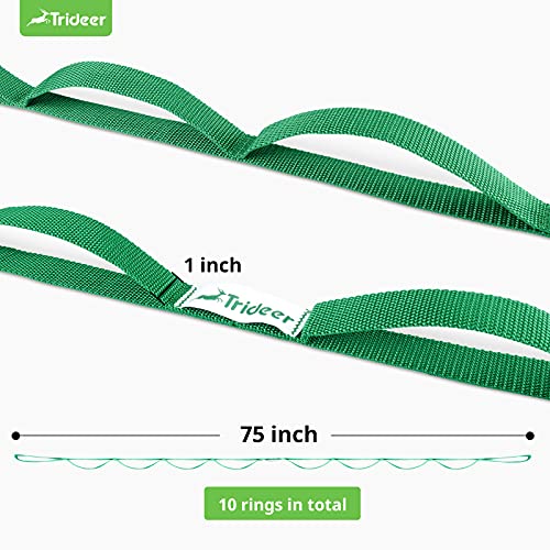 Trideer Stretching Strap Yoga Strap Yoga Band for Physical Therapy, 10 Loop  Non-Elastic Yoga Straps for Stretching, Pilates, Exercise & Dancing