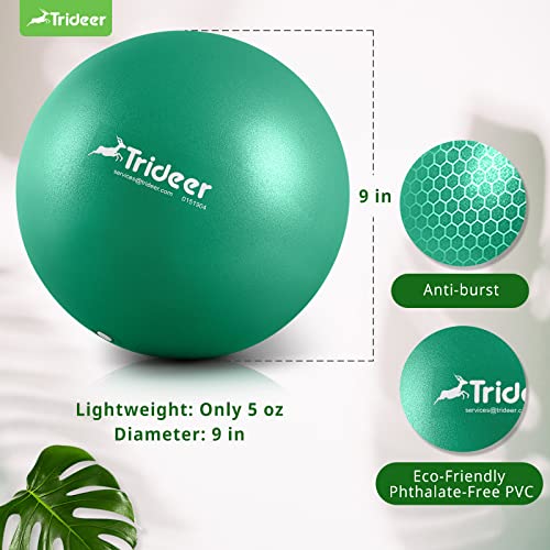 Trideer 9 Inch Pilates Ball Between Knees for Physical Therapy, Mini Exercise Ball - Yoga Ball, Small Workout Balls for Core Strength and Back Support